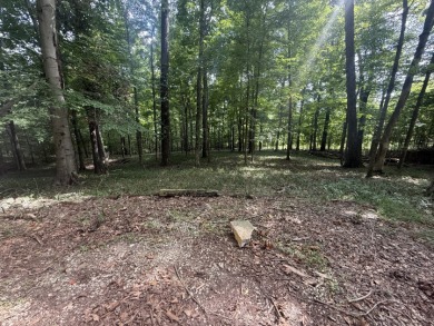 Pending! 2.27+/- Acres & Metal Building By Laurel Branch SOLD - photo 14