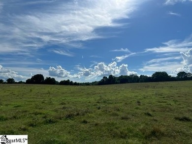 (private lake, pond, coastal) Acreage For Sale in Laurens South Carolina