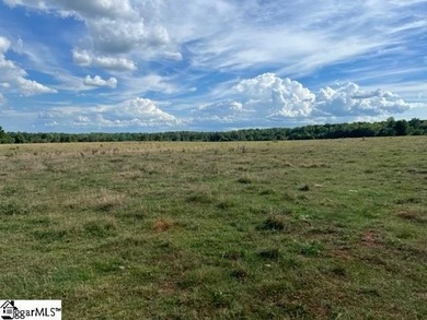 WOW!!! One of the most beautiful Farms left! UN-ZONED...NO - photo 3