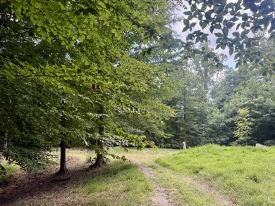Pending! 2.27+/- Acres & Metal Building By Laurel Branch SOLD - photo 3