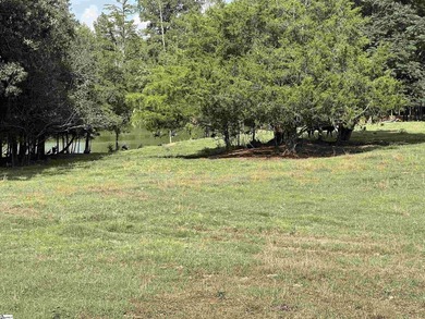 WOW!!! One of the most beautiful Farms left! UN-ZONED...NO - photo 7