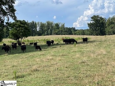 WOW!!! One of the most beautiful Farms left! UN-ZONED...NO - photo 9