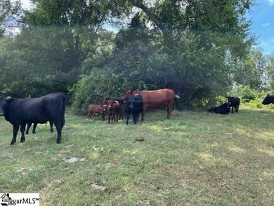 WOW!!! One of the most beautiful Farms left! UN-ZONED...NO - photo 10