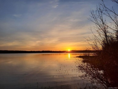 Lake Roxanne Acreage For Sale in Other New York
