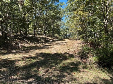 Discover 11 m/l wooded acres with gently rolling terrain - an - photo 2