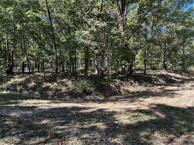 Discover 11 m/l wooded acres with gently rolling terrain - an - photo 3