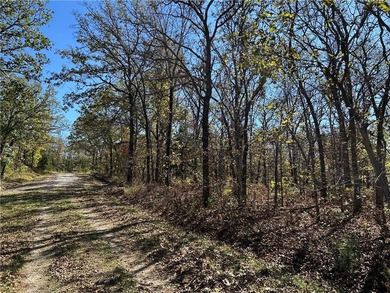Discover 11 m/l wooded acres with gently rolling terrain - an - photo 4