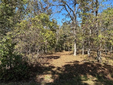 Discover 11 m/l wooded acres with gently rolling terrain - an - photo 5