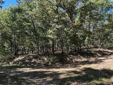 Discover 11 m/l wooded acres with gently rolling terrain - an - photo 6