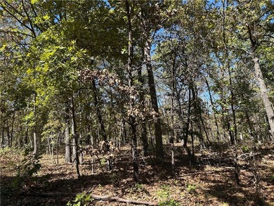 Discover 11 m/l wooded acres with gently rolling terrain - an - photo 7