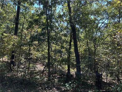 Discover 11 m/l wooded acres with gently rolling terrain - an - photo 8
