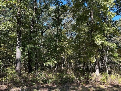 Discover 11 m/l wooded acres with gently rolling terrain - an - photo 9