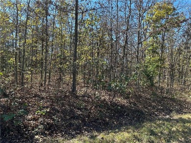Discover 11 m/l wooded acres with gently rolling terrain - an - photo 10