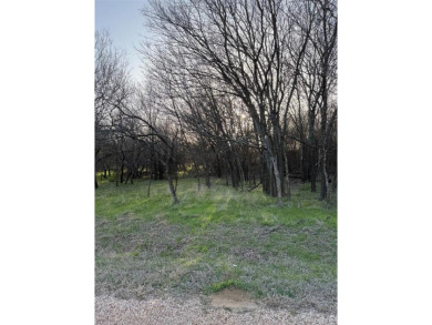 This semi-cleared lot features beautiful hardwoods with very few - photo 2