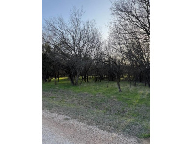This semi-cleared lot features beautiful hardwoods with very few - photo 3