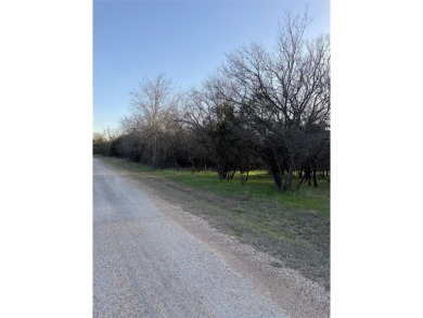This semi-cleared lot features beautiful hardwoods with very few - photo 5