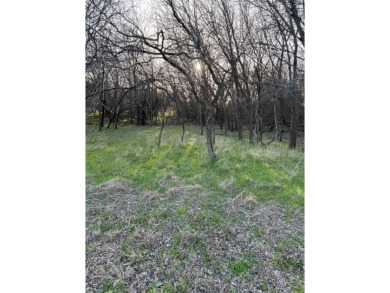 This semi-cleared lot features beautiful hardwoods with very few - photo 6