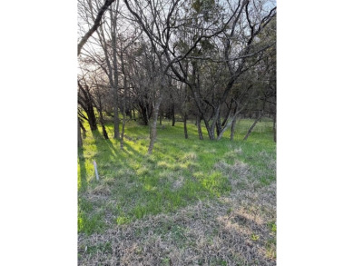 This semi-cleared lot features beautiful hardwoods with very few - photo 7