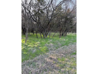 This semi-cleared lot features beautiful hardwoods with very few - photo 8