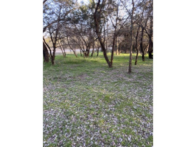 This semi-cleared lot features beautiful hardwoods with very few - photo 10