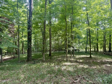 Pending! 2.27+/- Acres & Metal Building By Laurel Branch SOLD - photo 8