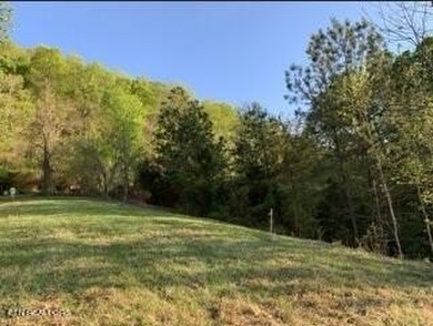 What a great deal! Price includes utilities already on site! .85 - photo 11