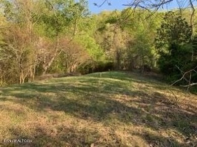 What a great deal! Price includes utilities already on site! .85 - photo 12