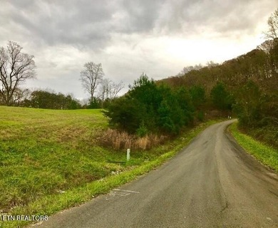 What a great deal! Price includes utilities already on site! .85 - photo 13