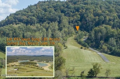 What a great deal! Price includes utilities already on site! .85 - photo 26