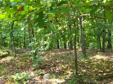 Lake Acreage For Sale in Edwards, Missouri