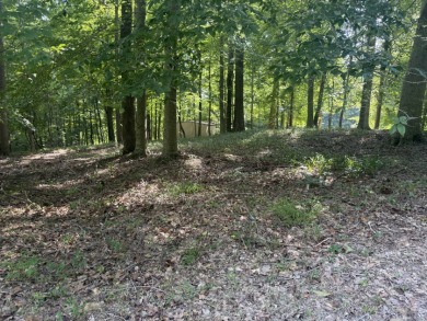 Pending! 2.27+/- Acres & Metal Building By Laurel Branch SOLD - photo 15