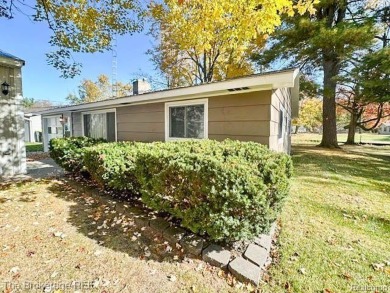 Lake Home Sale Pending in Beaverton, Michigan