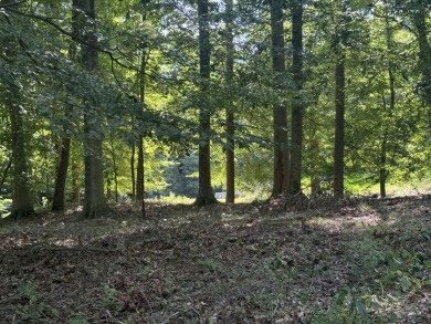 Pending! 2.27+/- Acres & Metal Building By Laurel Branch SOLD - photo 16