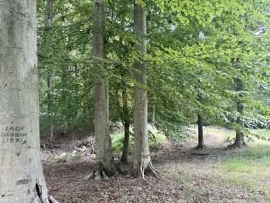 Pending! 2.27+/- Acres & Metal Building By Laurel Branch SOLD - photo 5