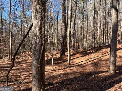 Coosawattee River - Gilmer County Lot For Sale in Ellijay Georgia