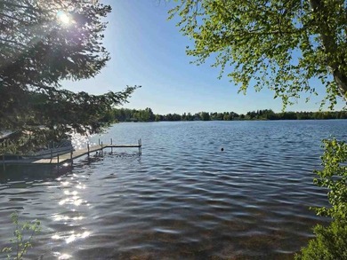 Wildwood Lake - Cheboygan County Home For Sale in Wolverine Michigan
