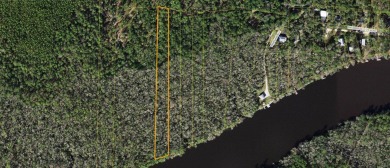 (private lake, pond, creek) Acreage For Sale in Sopchoppy Florida