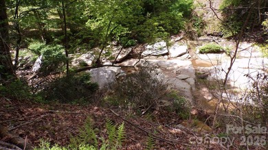 (private lake, pond, coastal) Home For Sale in Hendersonville North Carolina