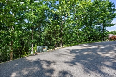Discover this premier lakefront lot in the highly sought-after - photo 11