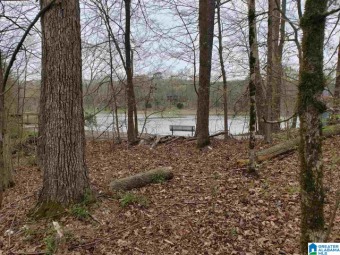 (private lake, pond, creek) Acreage For Sale in Maylene Alabama