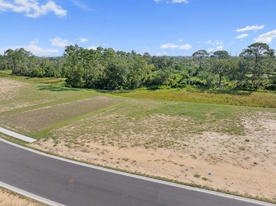 Discover Veranda Bay, Flagler Beach's premier gated waterfront - photo 16