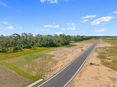 Discover Veranda Bay, Flagler Beach's premier gated waterfront - photo 17