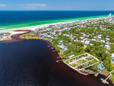 Lake Lot For Sale in Santa Rosa Beach, Florida