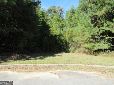 (private lake, pond, coastal) Lot For Sale in Macon Georgia