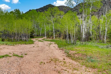 The Big Laramie Hideaway offers a rare combination of direct - photo 32