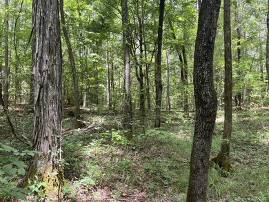 The Location & Access: This property consists of 65 acres in - photo 33