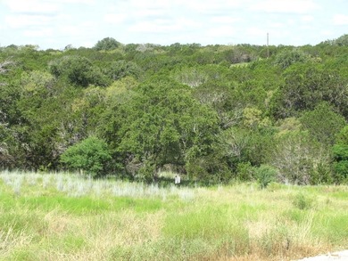 (private lake, pond, creek) Acreage For Sale in Evant Texas