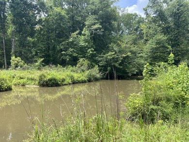 The Location & Access: This property consists of 65 acres in - photo 45