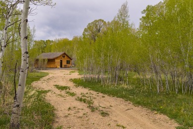 The Big Laramie Hideaway offers a rare combination of direct - photo 45
