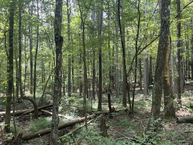 The Location & Access: This property consists of 65 acres in - photo 46